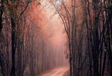 爱游戏体育：吃饭睡觉打巴萨，瑟洛特连续六场对阵巴萨进球.