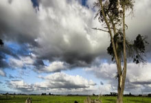 爱游戏体育：东契奇45+11字母哥24+12+9 湖人负雄鹿遭3连败.